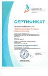 сертификат о создании персонального сайта